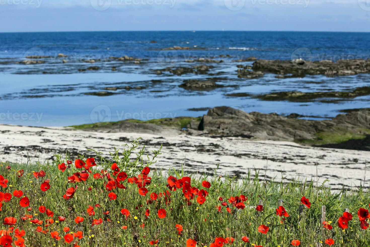 Le Croisic wild coast photo