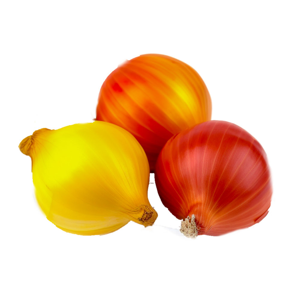 Yellow Onion Organic Food French Onion Soup Red Onion png