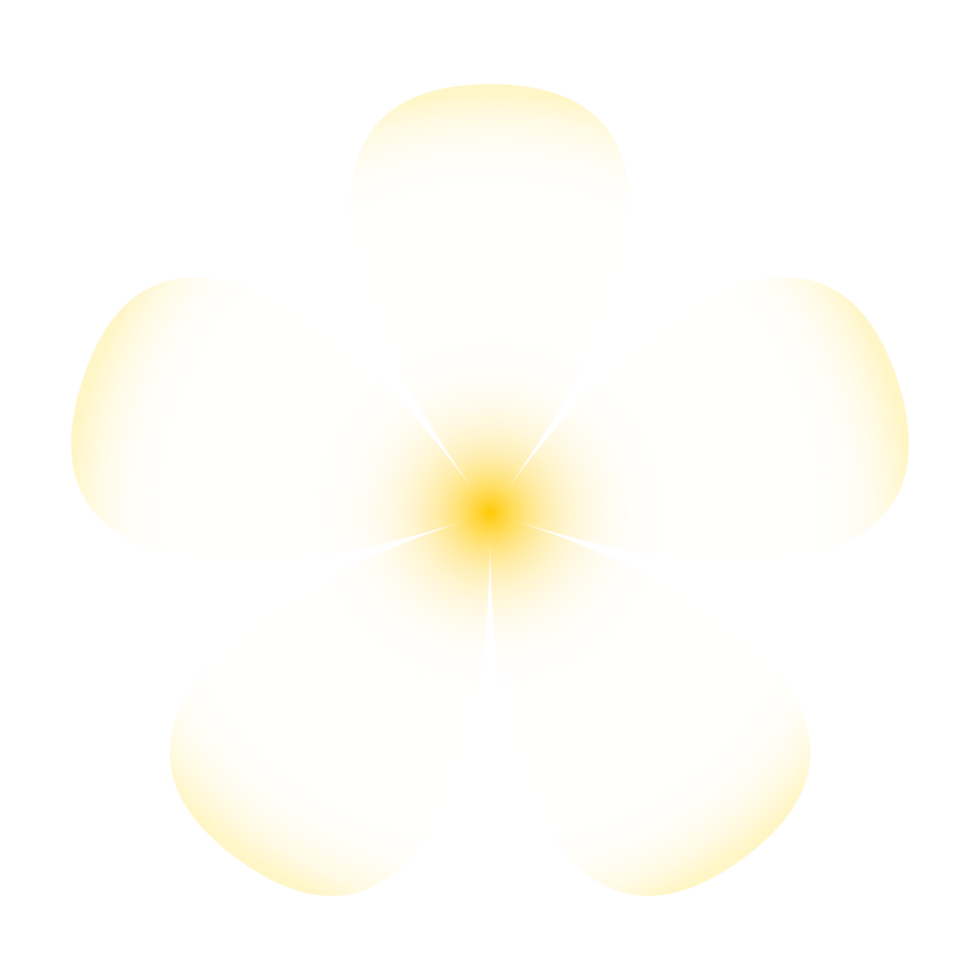 Single white flower PNG file