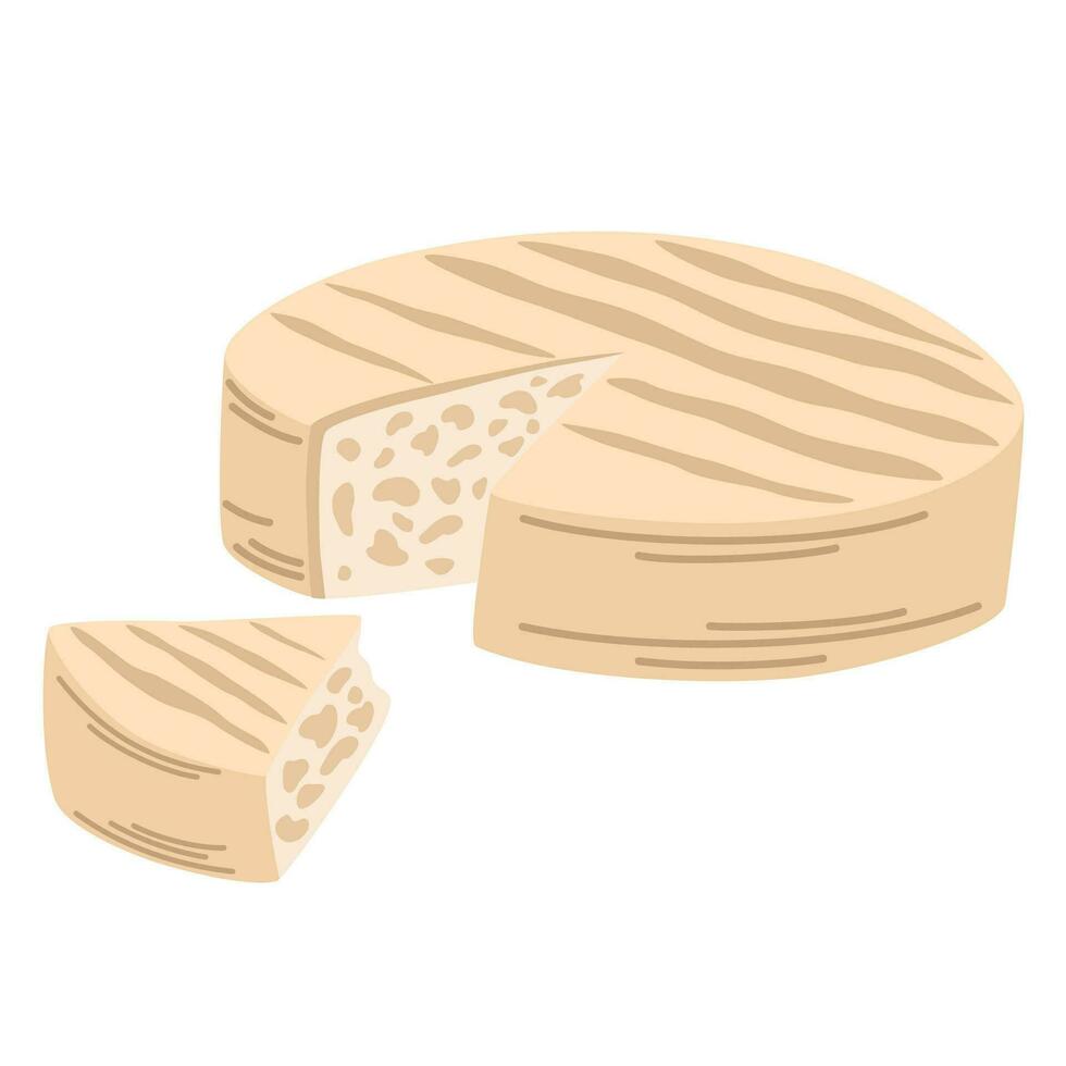 Soft brie cheese. Dairy and cheese products. Vector Hand draw Illustration isolated on the white background.