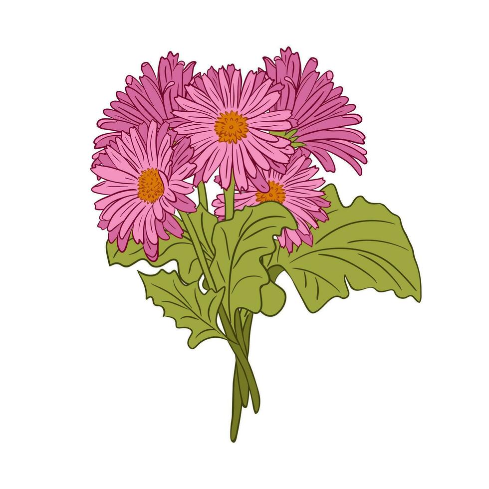 rosado mano dibujado gerberas ramo. contorno plano vecctor aislado ilustración. floral composición en blanco antecedentes para saludo tarjeta, invitación, antecedentes o bandera. vector