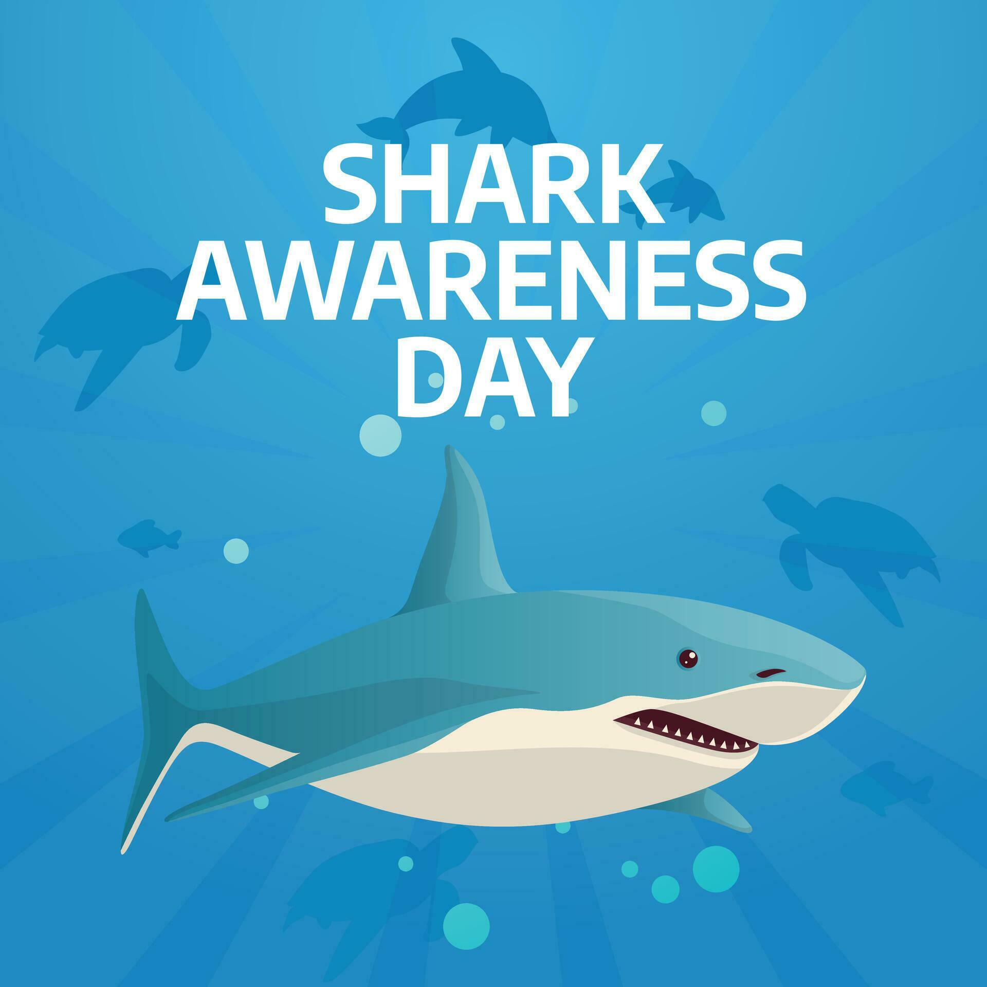 shark awareness day design template for celebration. shark awareness