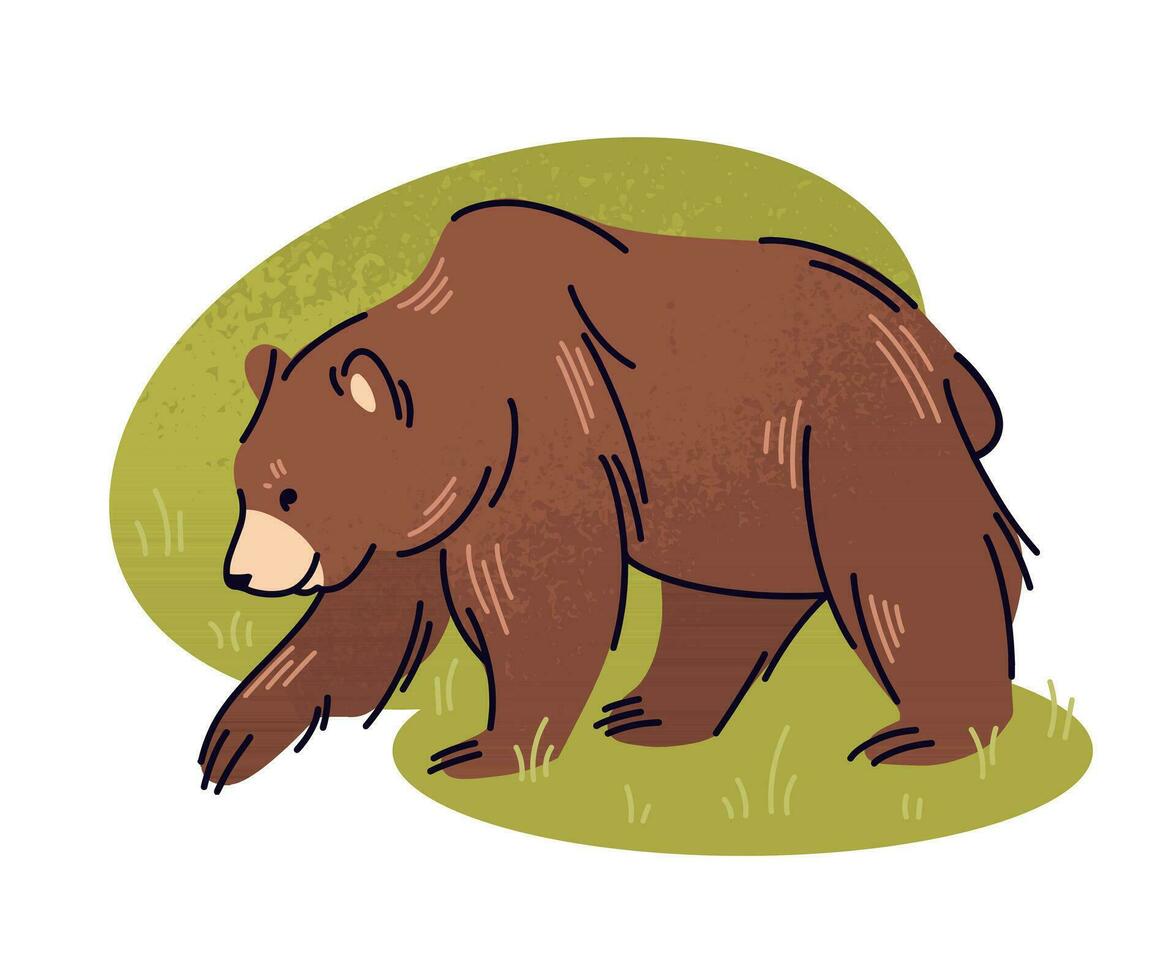 Brown bear flat vector illustration. Big wild animal, taiga inhabitant isolated on white background. Carnivoran mammal, wildlife, grizzly bear.