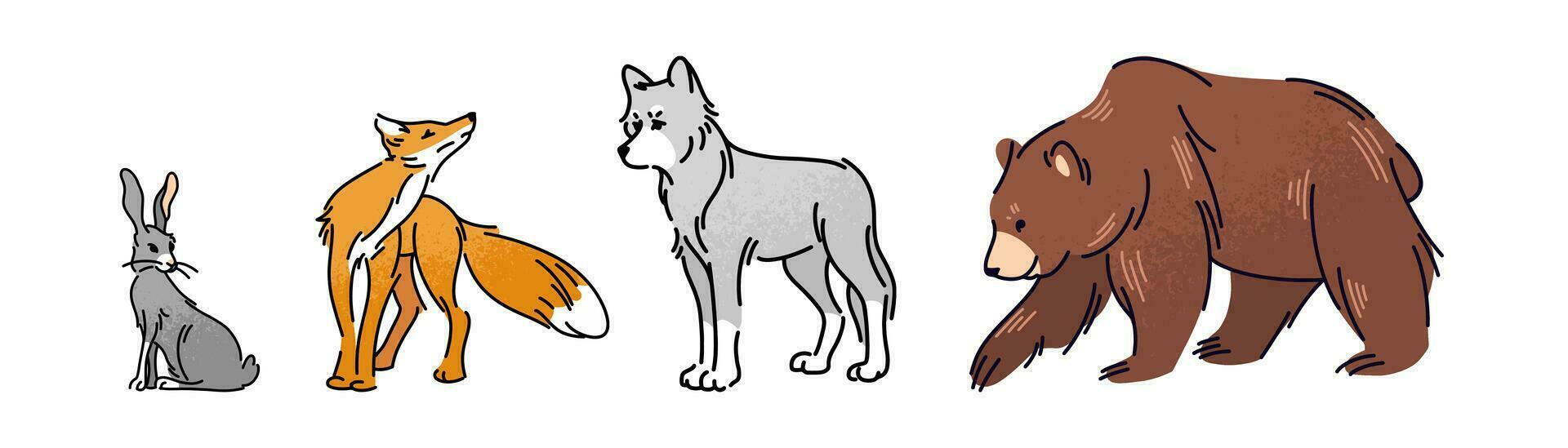 Forest animals set, flat vector illustration of bear, wolf, fox and hare. Wild life