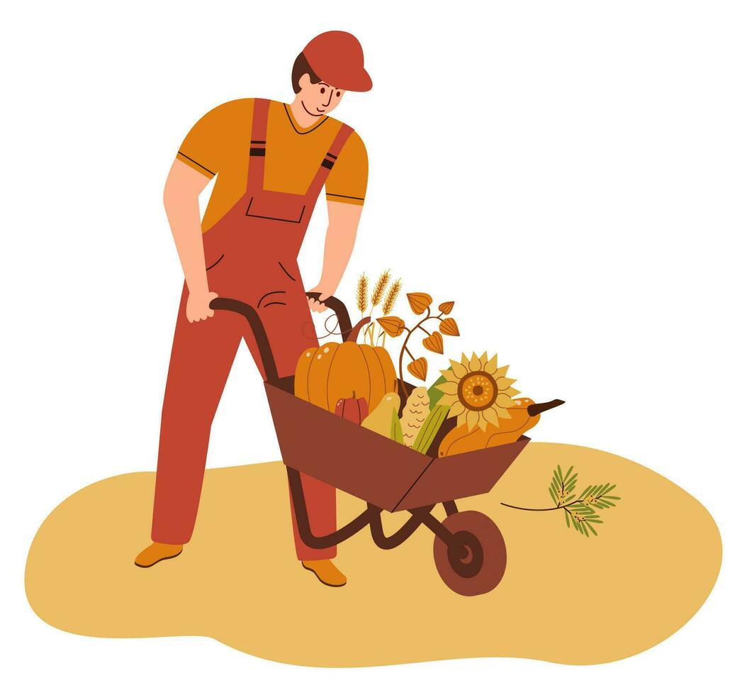 fermer emprendedor carretilla con otoño cosecha. granja trabajador yendo con jardín carro con orgánico local vegetal. hombre y carretilla. vector