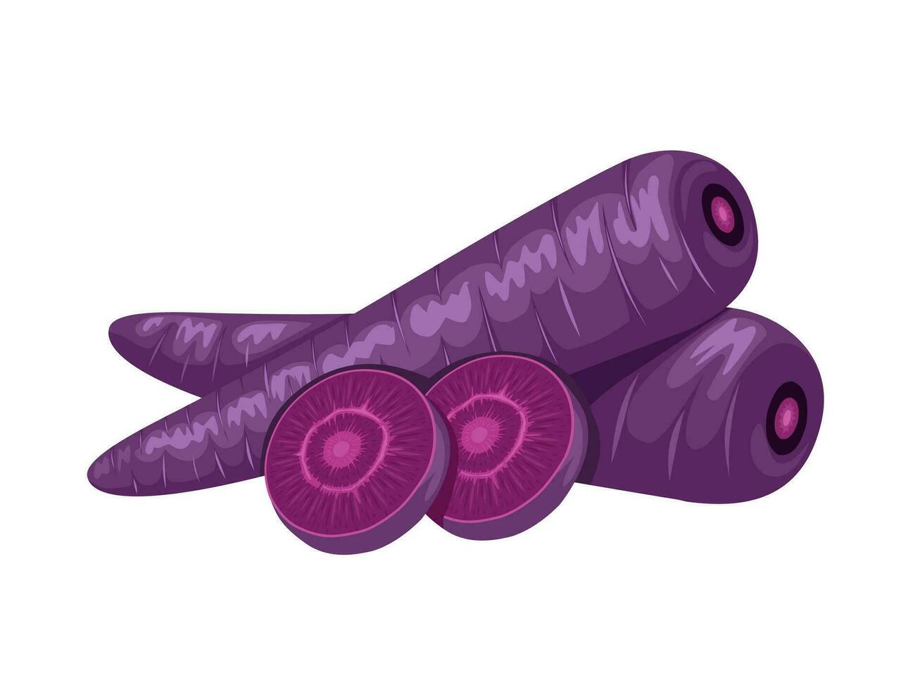 Vector illustration, purple carrot with slices, isolated on white background.