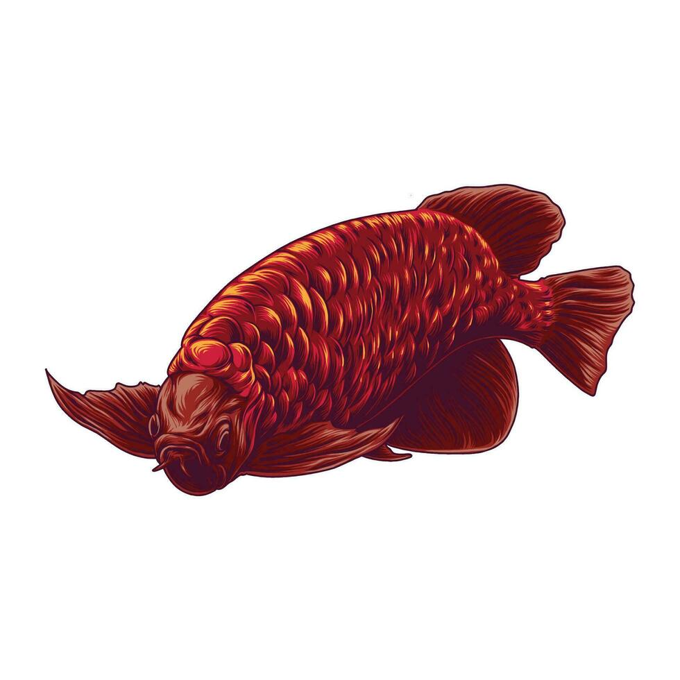 RED ARWANA FISH vector