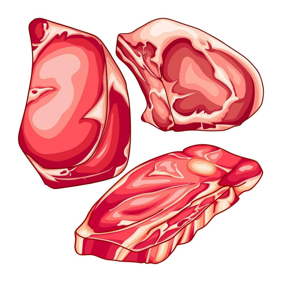 cortes de carne en varios formas vector