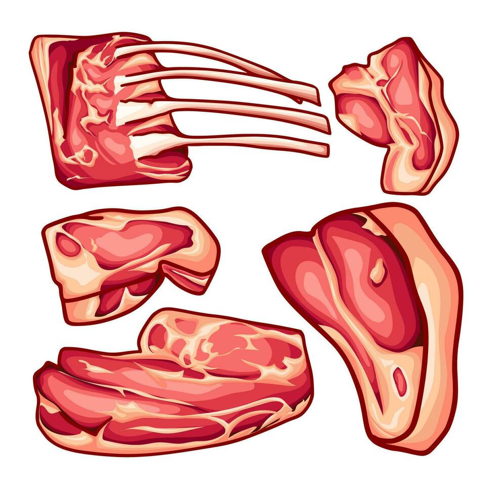 cortes de carne en varios formas vector