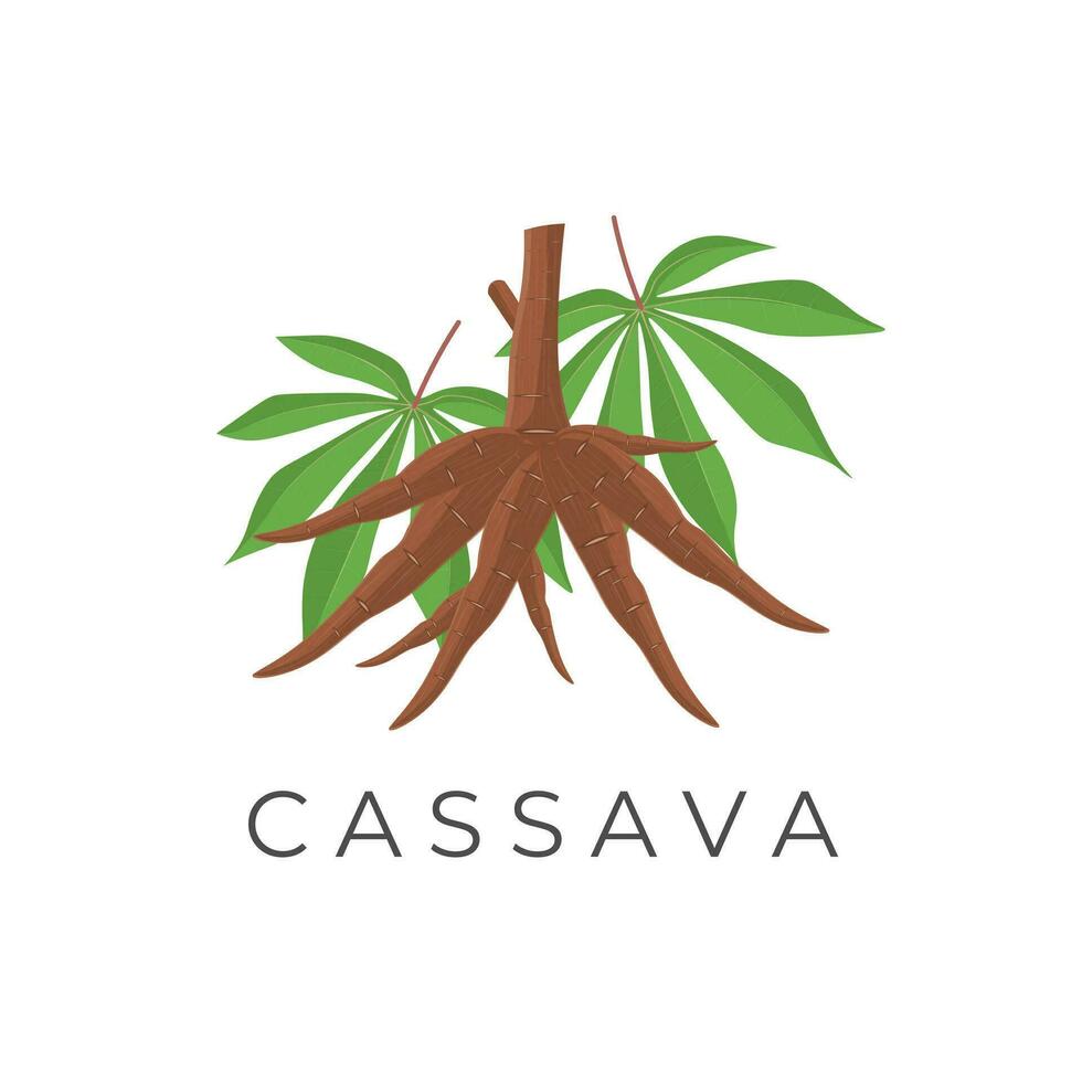Cassava Root Realistic Vector Illustration Logo