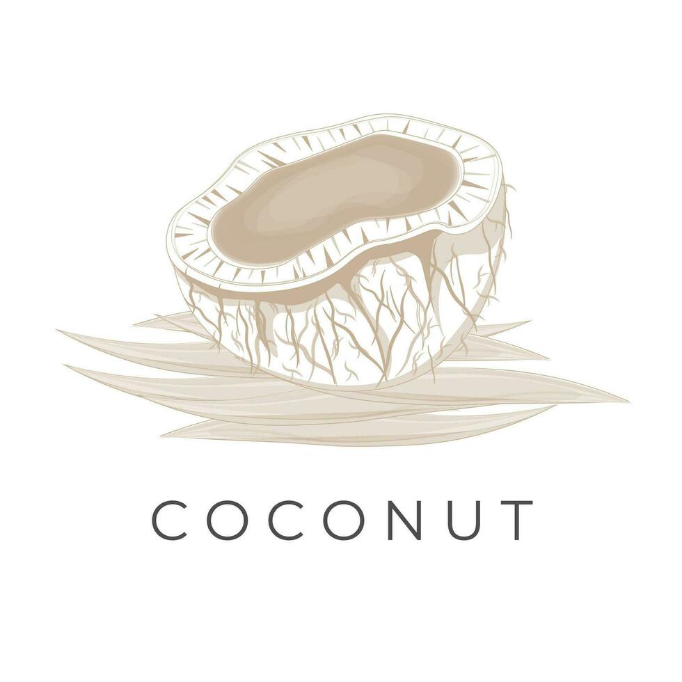 Peeled Coconut cartoon Illustration logo vector