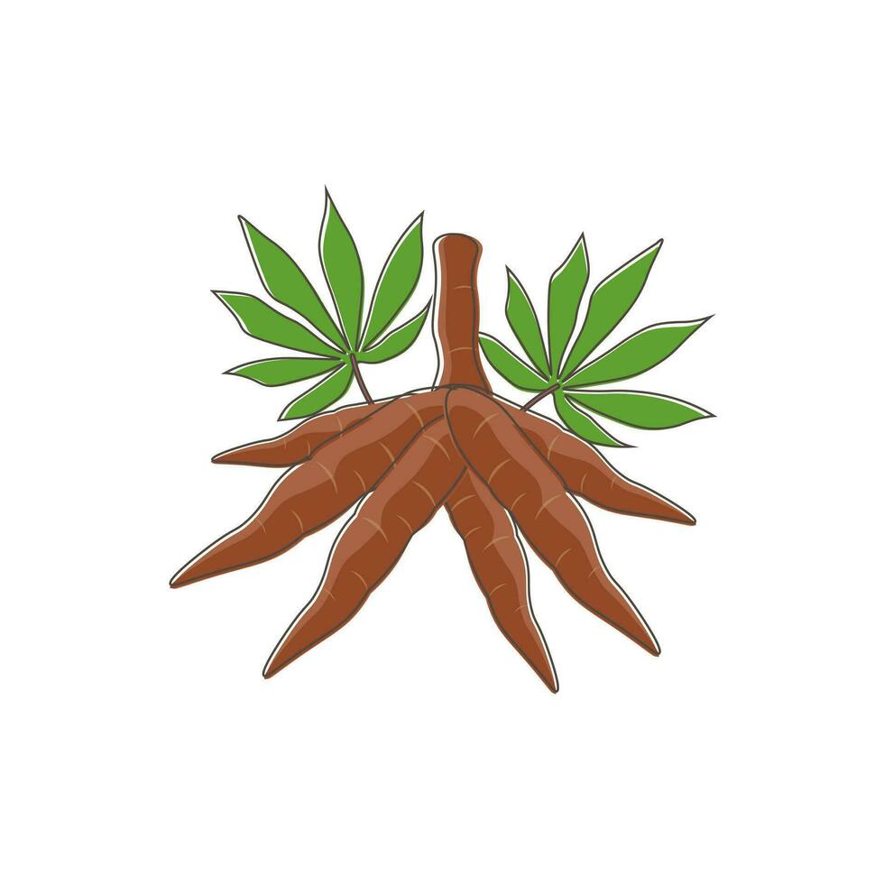 Cassava Root Line Art Vector Illustration Logo