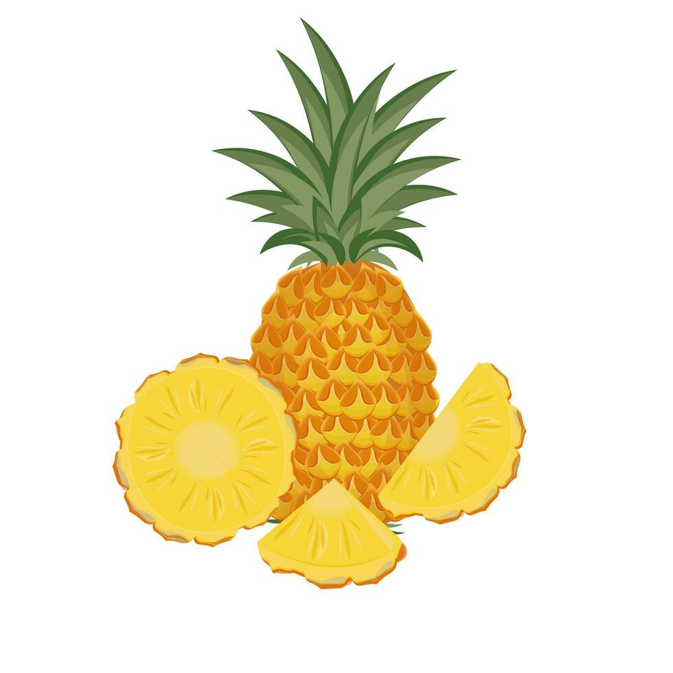 Fresh Pineapple Fruit Slice Vector Illustration Logo