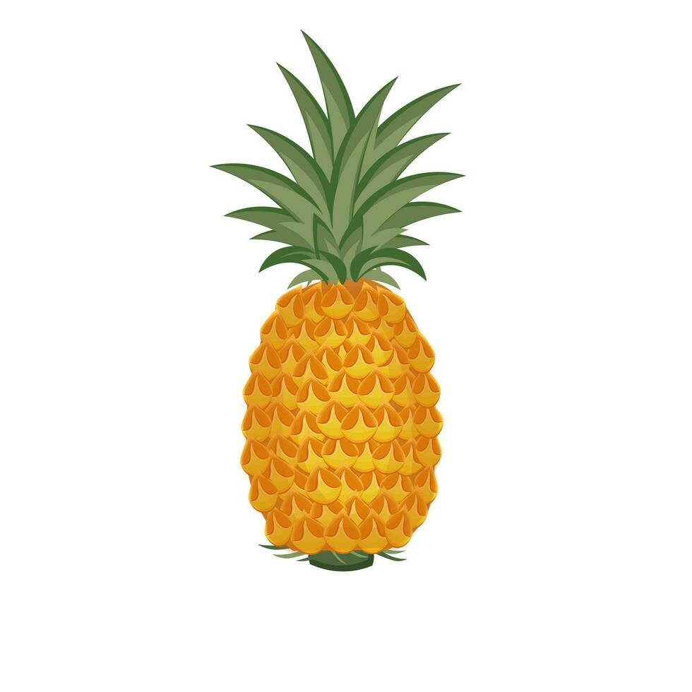 A whole Pineapple summer fruit illustration vector