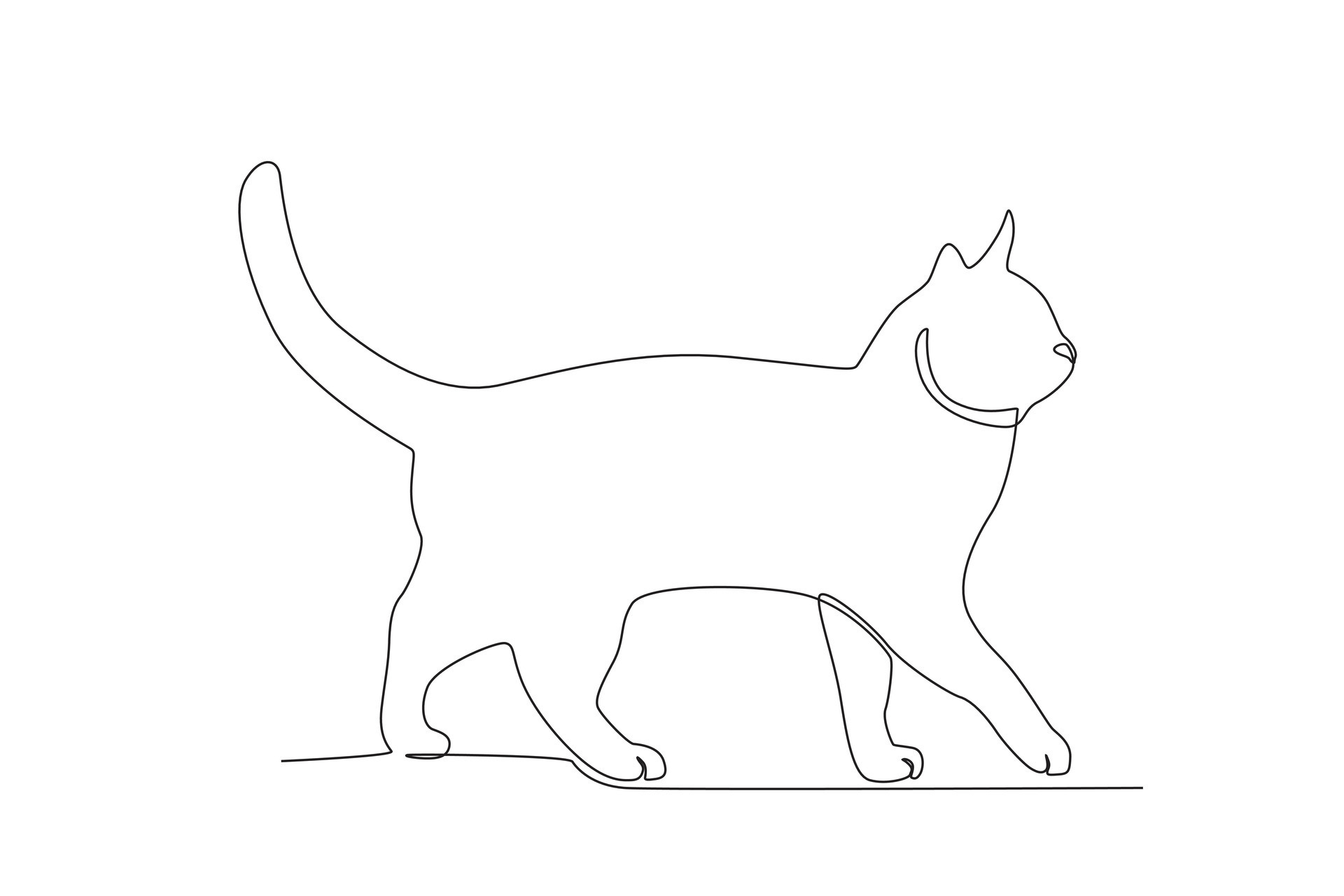 A cute cat walks slowly 25275678 Vector Art at Vecteezy