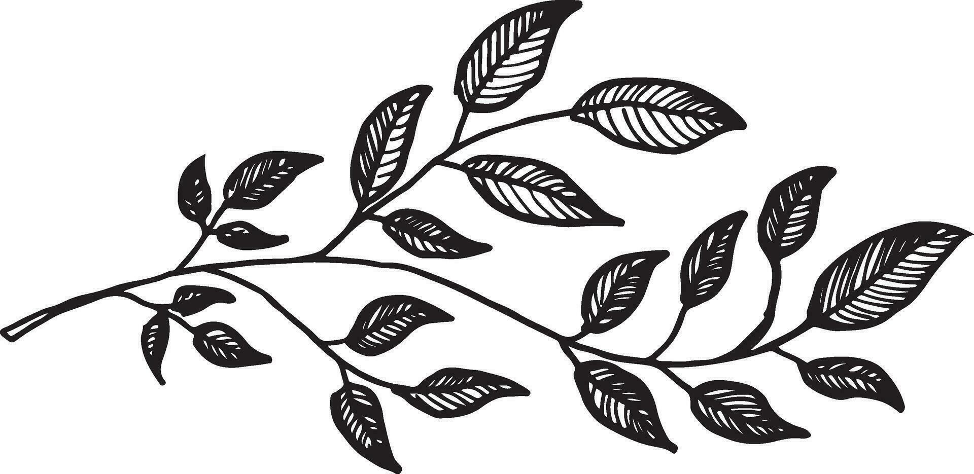 branch of a tree with leaves engraved vintage retro graphic style vector