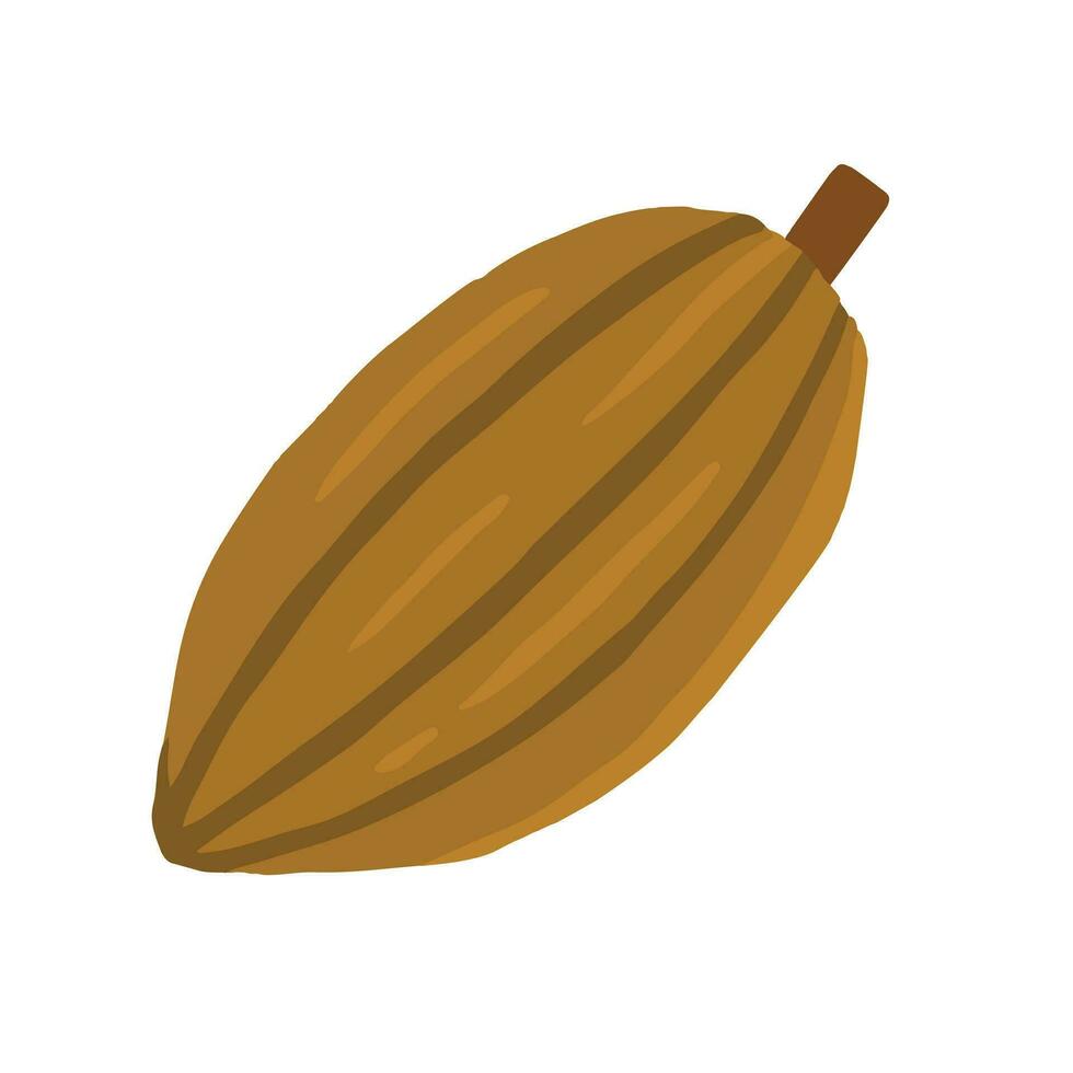 Cocoa fruit cartoon vector illustration