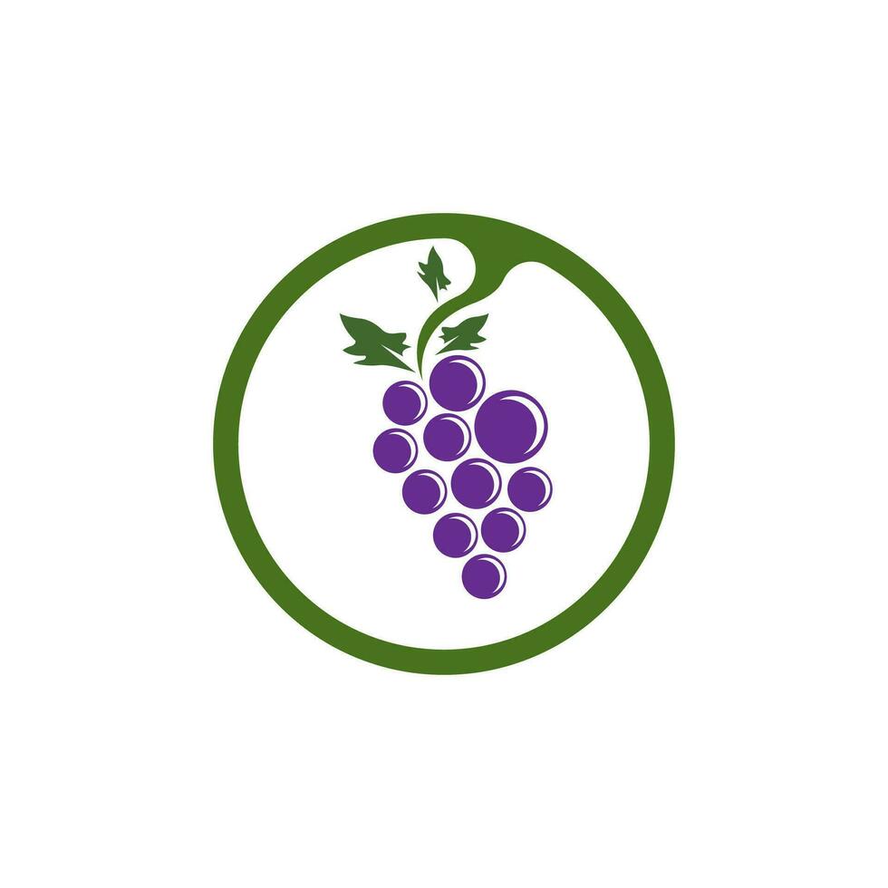 Modern Fruit Grape Logo Template vector