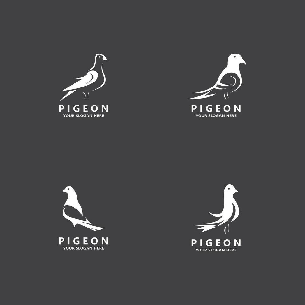 Pigeon bird logo vector icon illustration design template