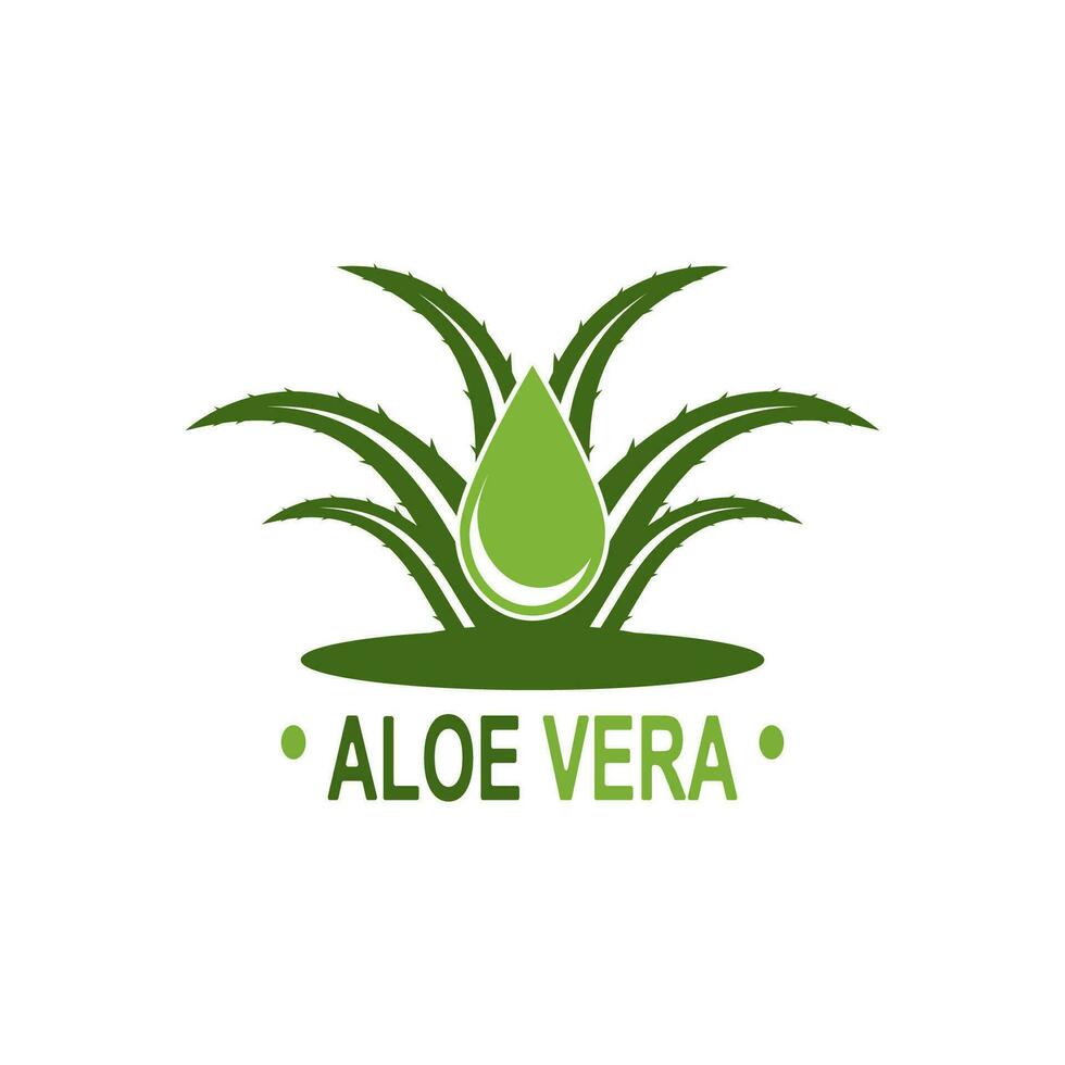 áloe vera logo ilustración modelo diseño vector