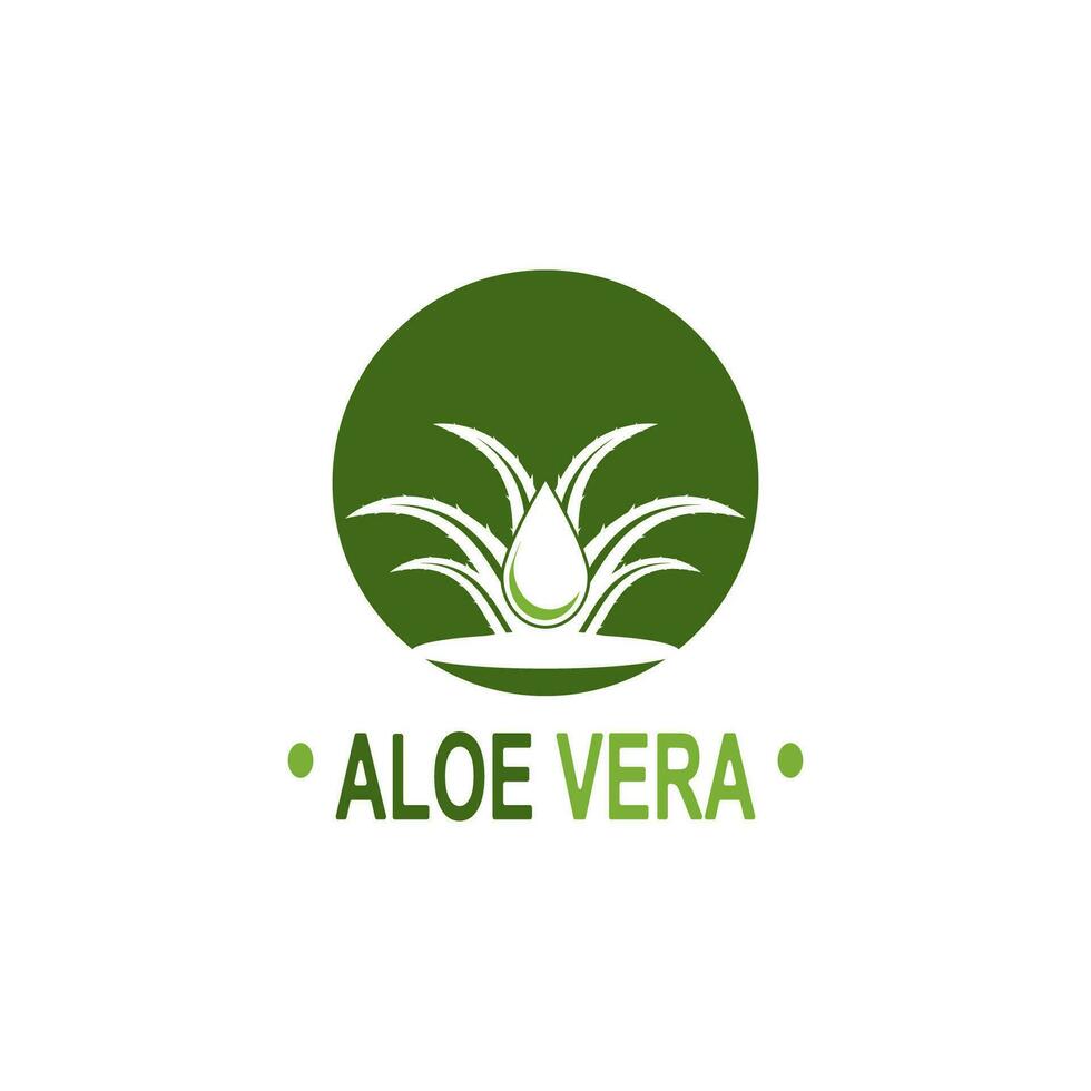 áloe vera logo ilustración modelo diseño vector