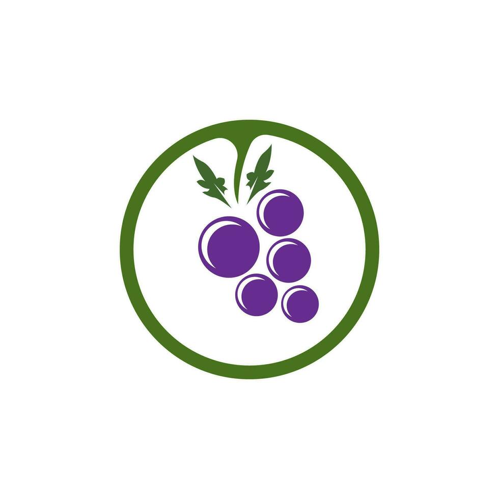 Modern Fruit Grape Logo Template vector