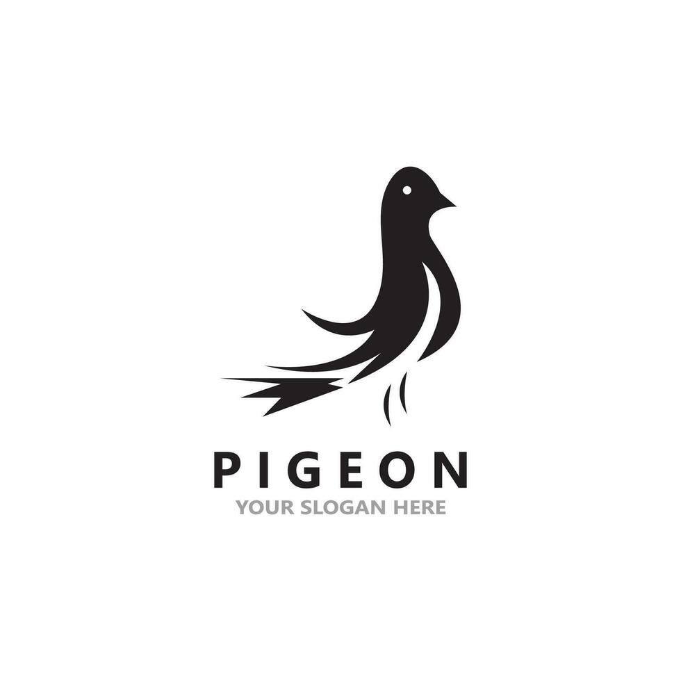 Pigeon bird logo vector icon illustration design template