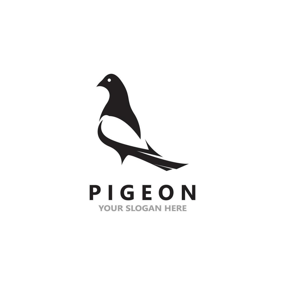 Pigeon bird logo vector icon illustration design template