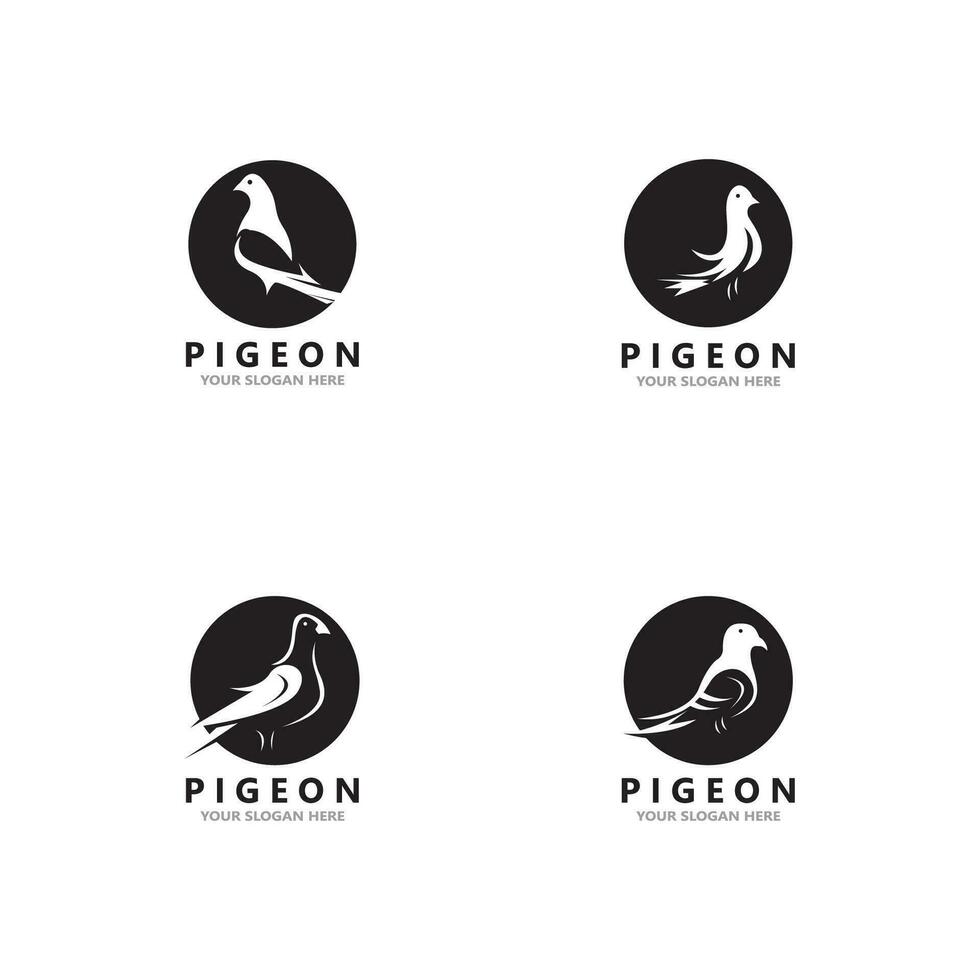 Pigeon bird logo vector icon illustration design template