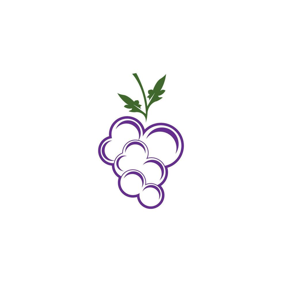 Modern Fruit Grape Logo Template vector