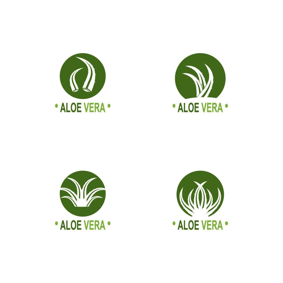 Aloe vera logo illustration template design vector