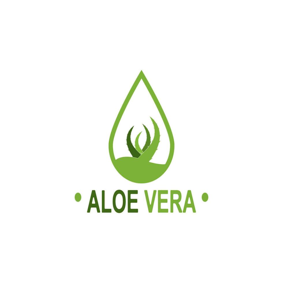 Aloe vera logo illustration template design vector