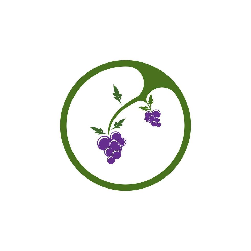 Modern Fruit Grape Logo Template vector