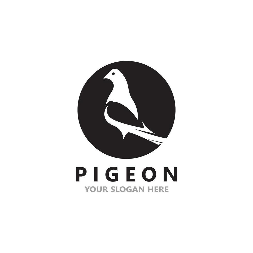 Pigeon bird logo vector icon illustration design template