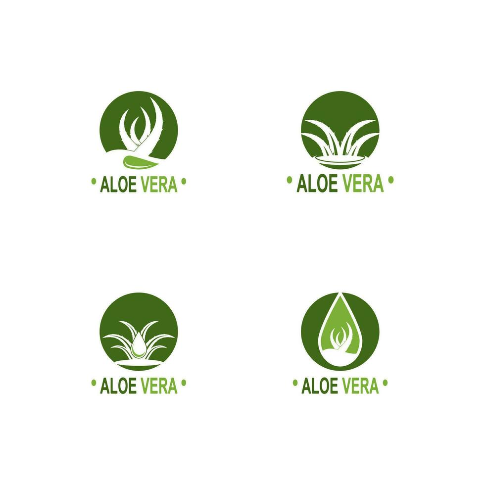 Aloe vera logo illustration template design vector