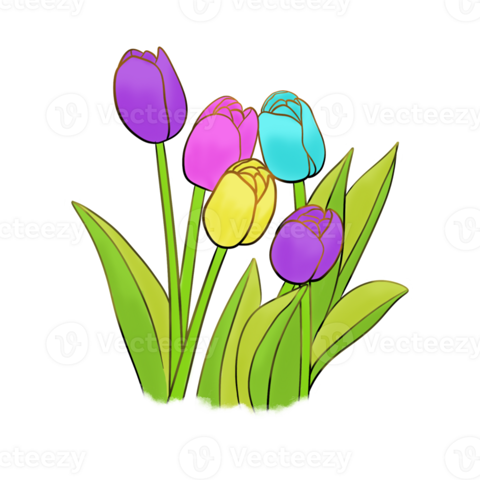 Tulips Flower art png