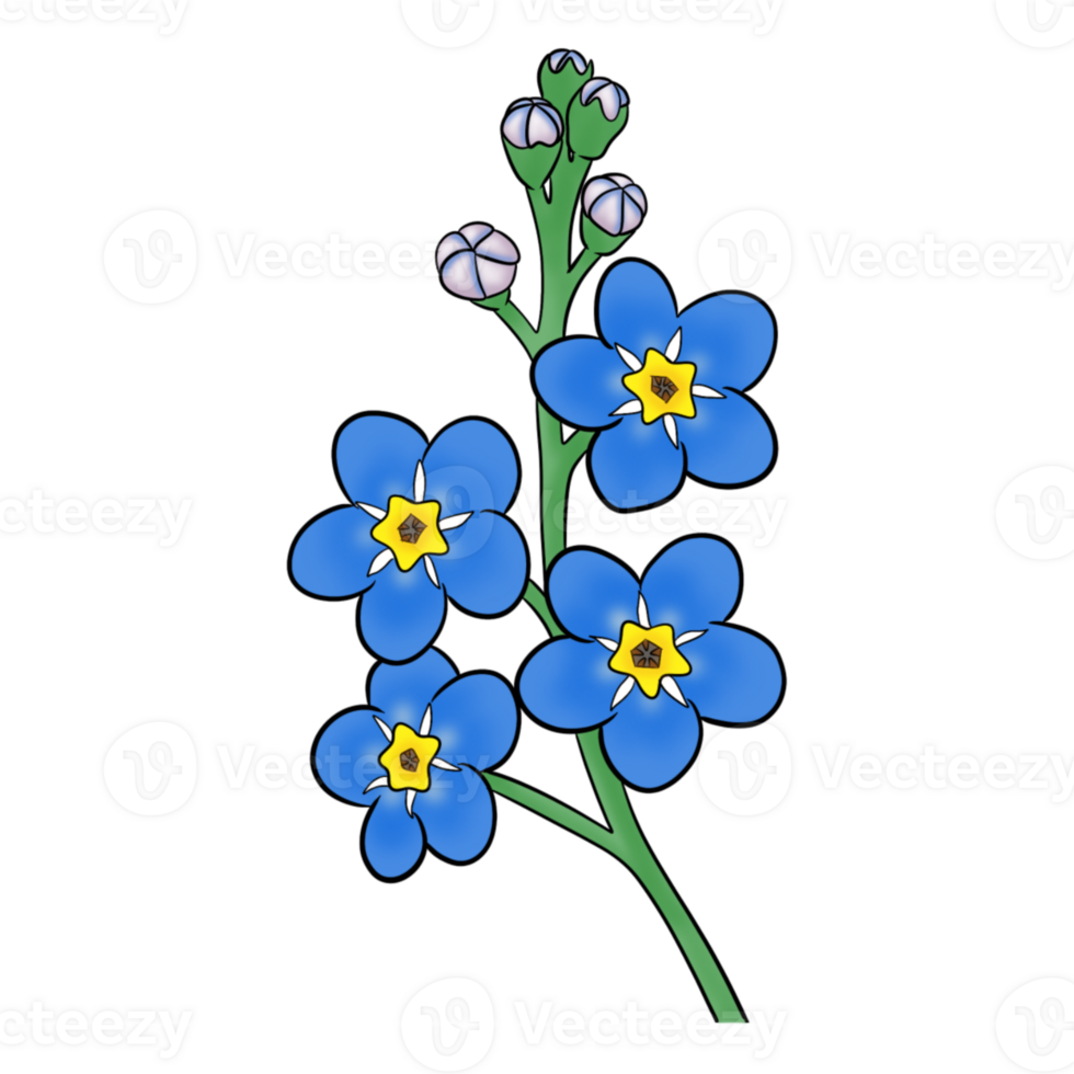 Forget me not Flower art png
