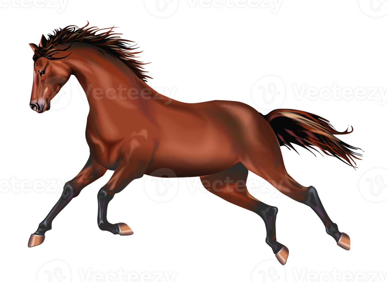 Galloping Wild Mustang png