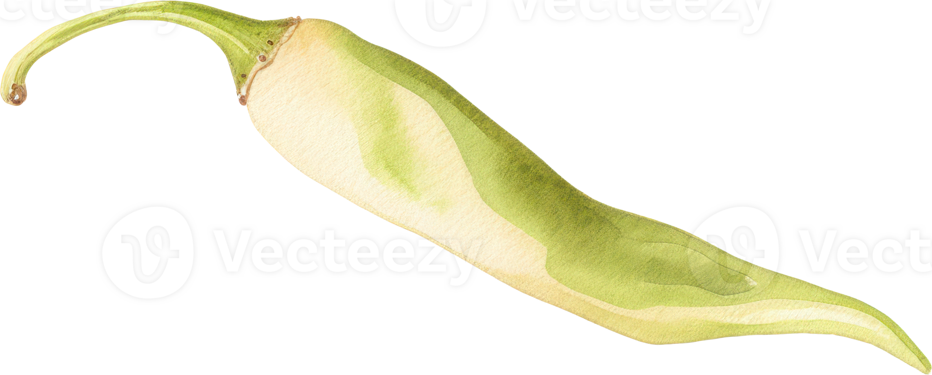 verde chile acuarela ilustración. ai generado png