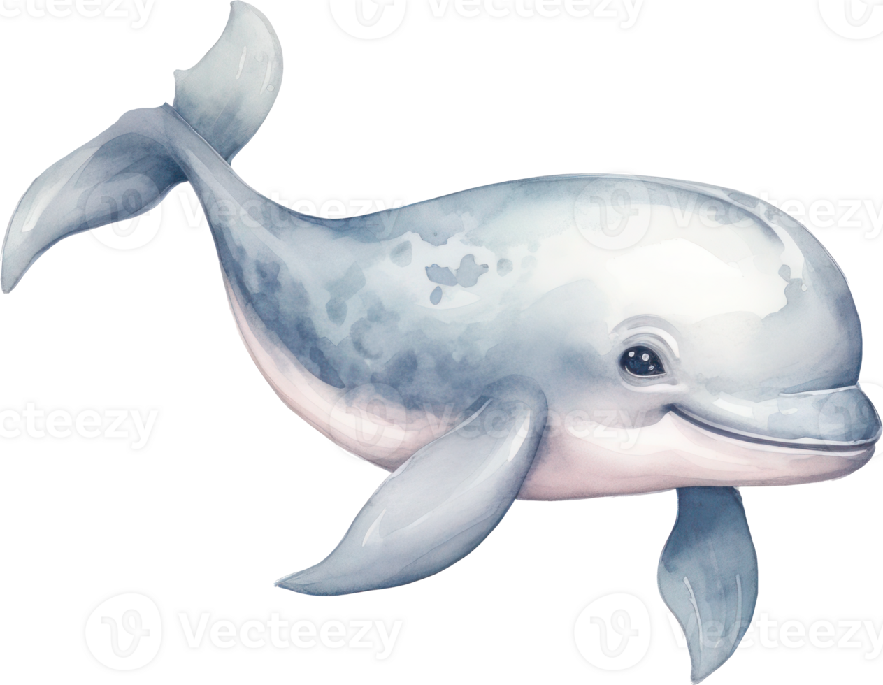 Cute Whale Watercolor Illustration. png