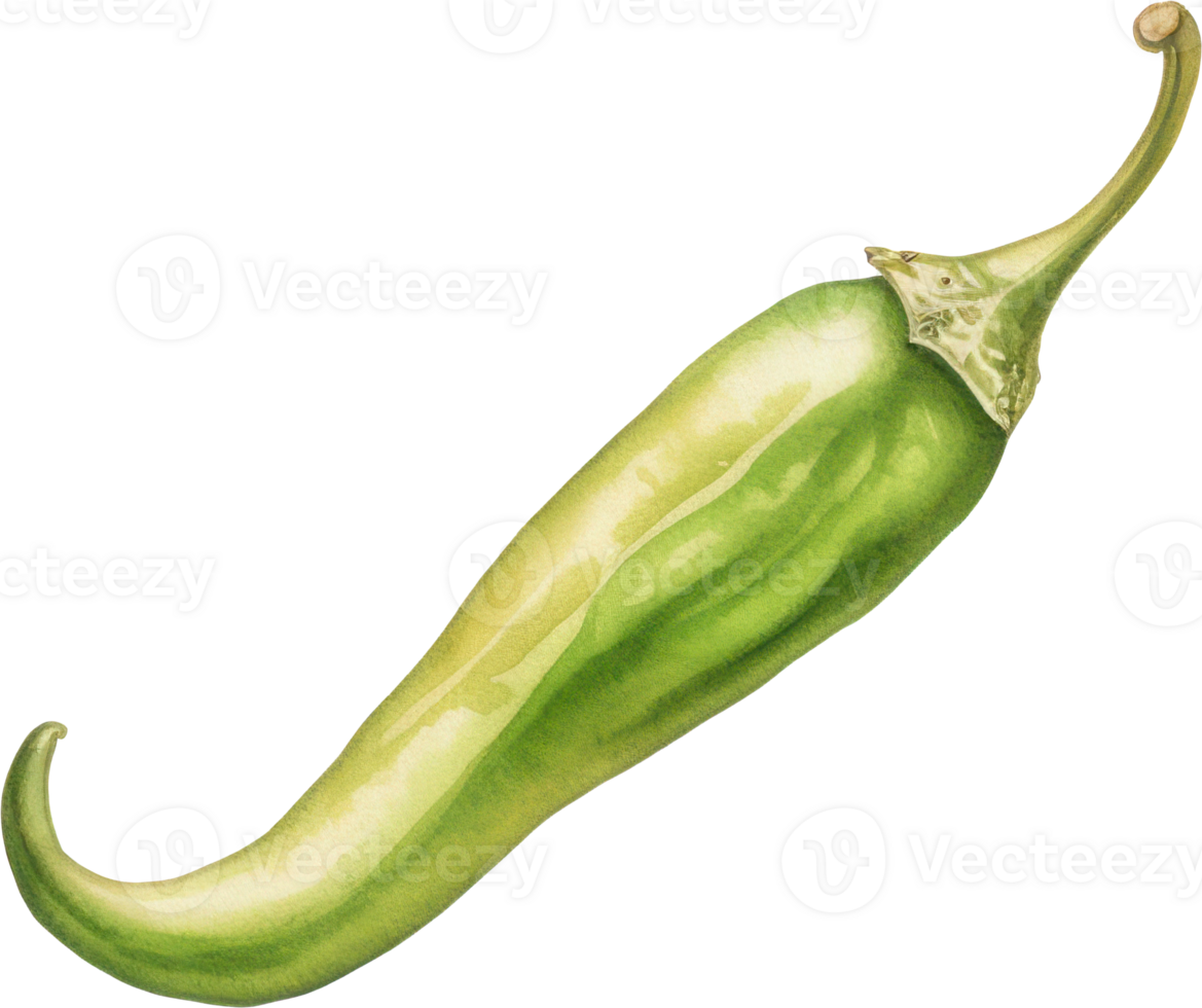 verde chile acuarela ilustración. ai generado png