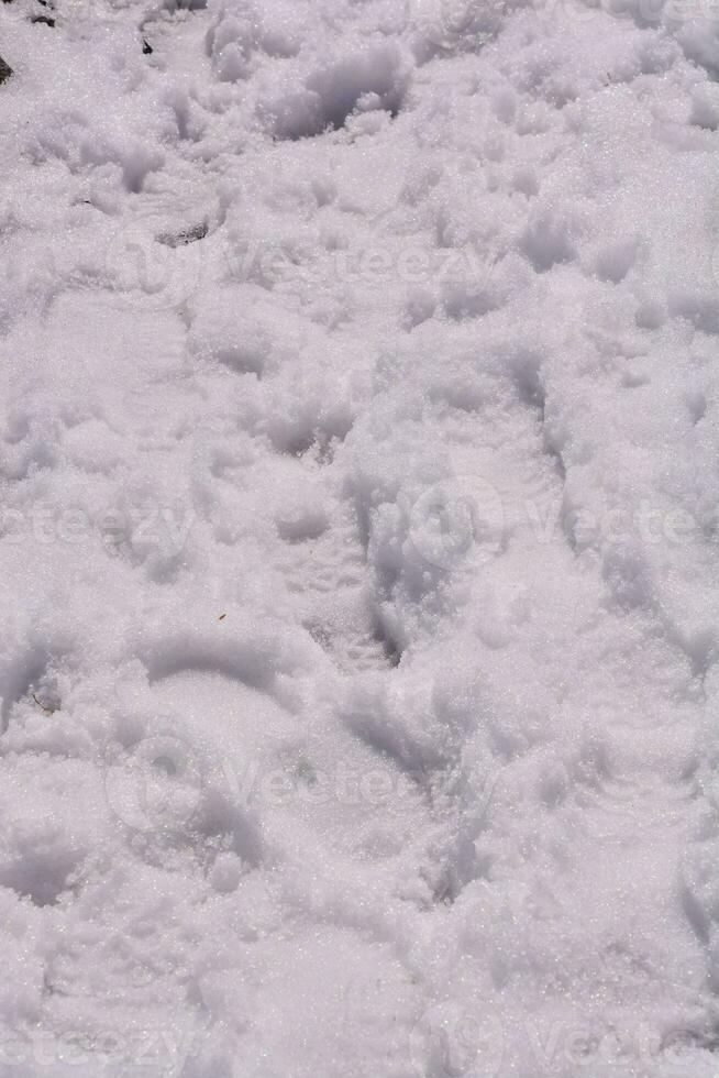 Snow texture pattern photo