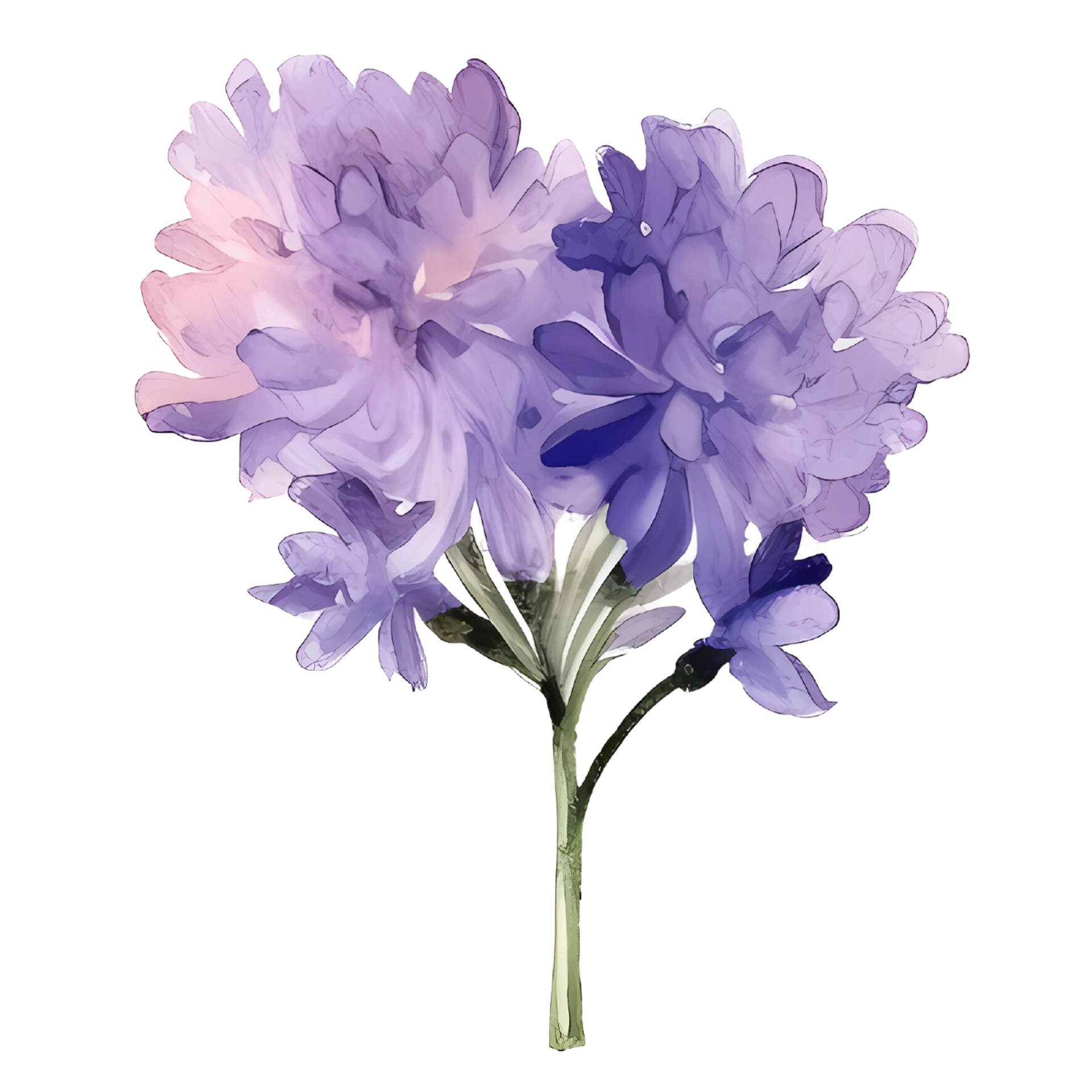 8,055 Lavender Plant Dried Flower Flower Fragrance Images, Stock Photos, 3D  objects, & Vectors