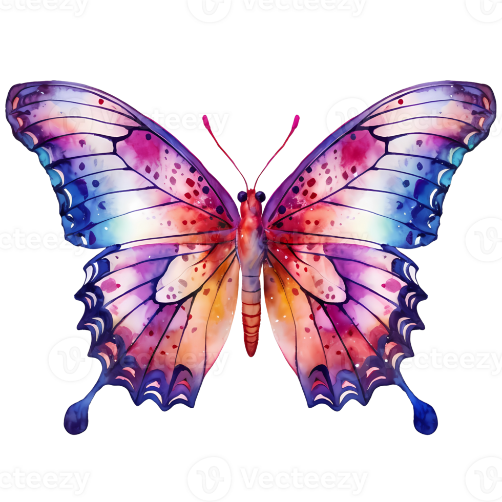 coloré papillons aquarelle clipart png