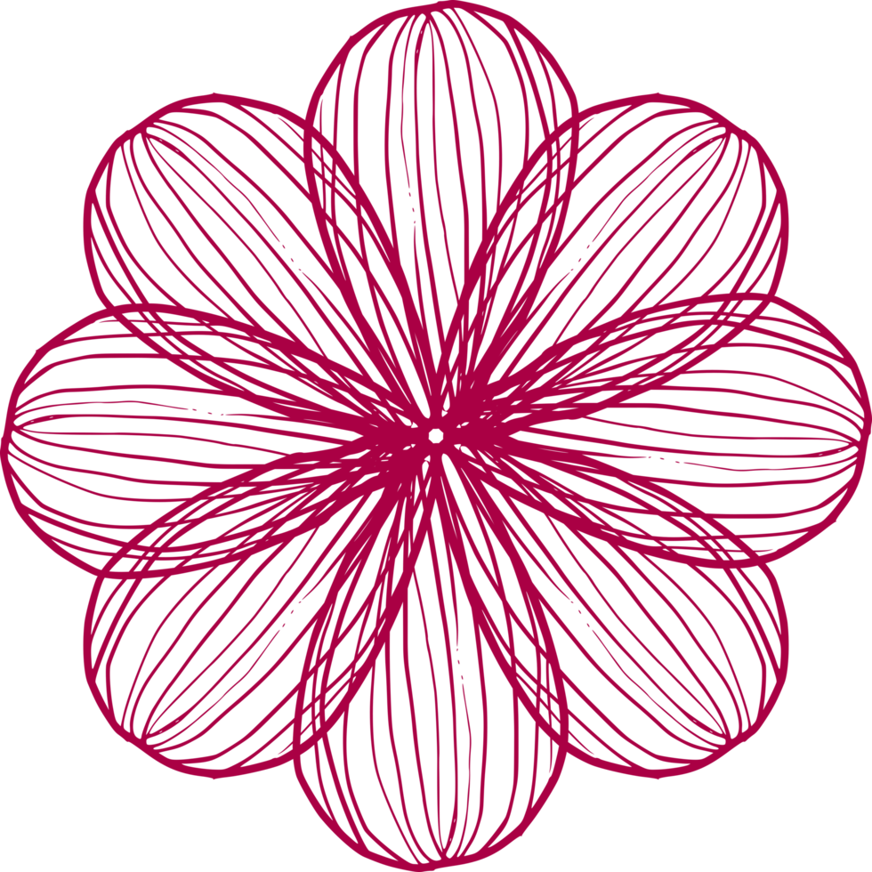 Hand drawn florals line art pattern flower. png