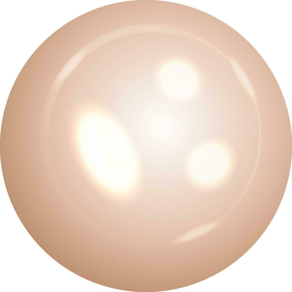 Glossy brown pearl on white background. vector