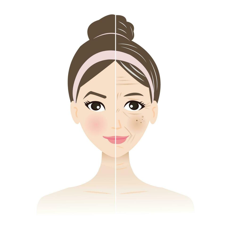 Young and old skin on woman face vector illustration isolated on white background. Comparison of young and old skin. Difference between youthful healthy and aged skin. Skin care and beauty concept.