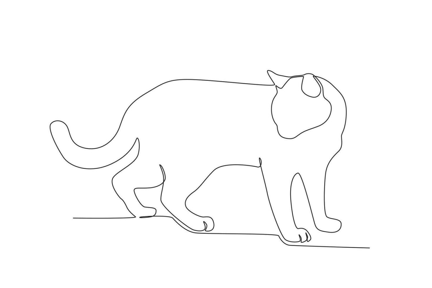 A cat looks down at its food vector