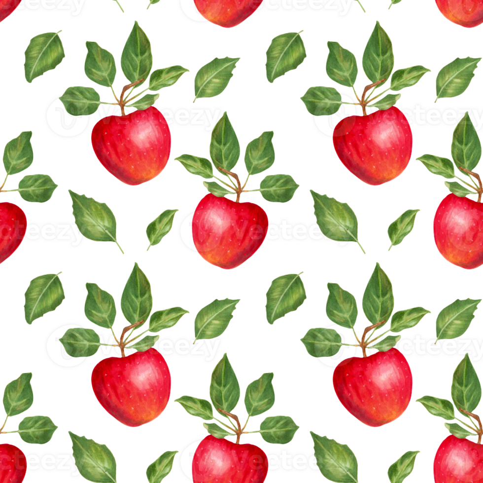 Fruit seamless pattern of red apples and leaves.Food illustration for Thanksgiving Day and harvest decor Illustration with watercolor and marker. png