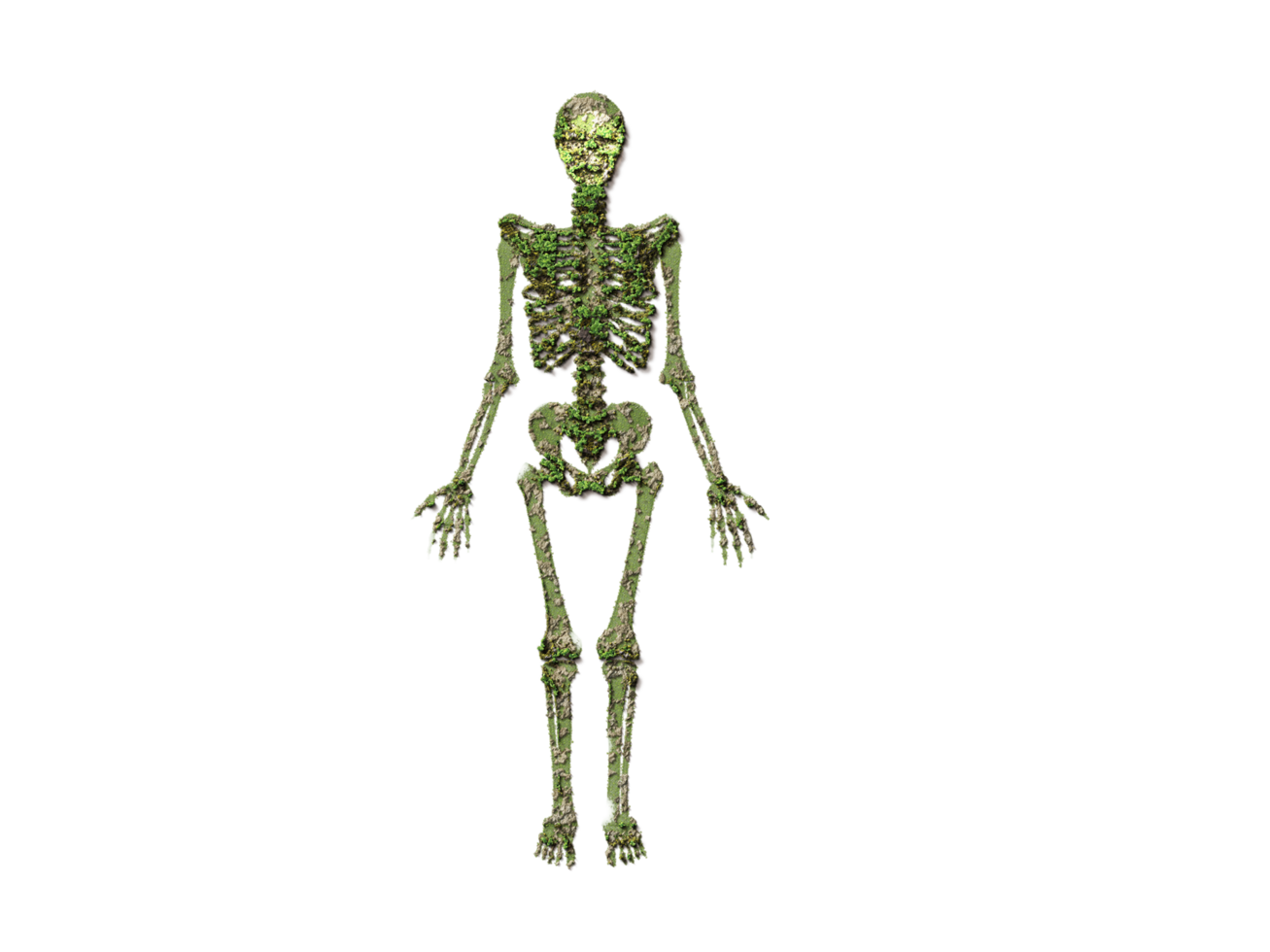 human skeleton Green Without background 3d illustration AI Generated png